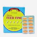 Feedfine X 30 Capsules
